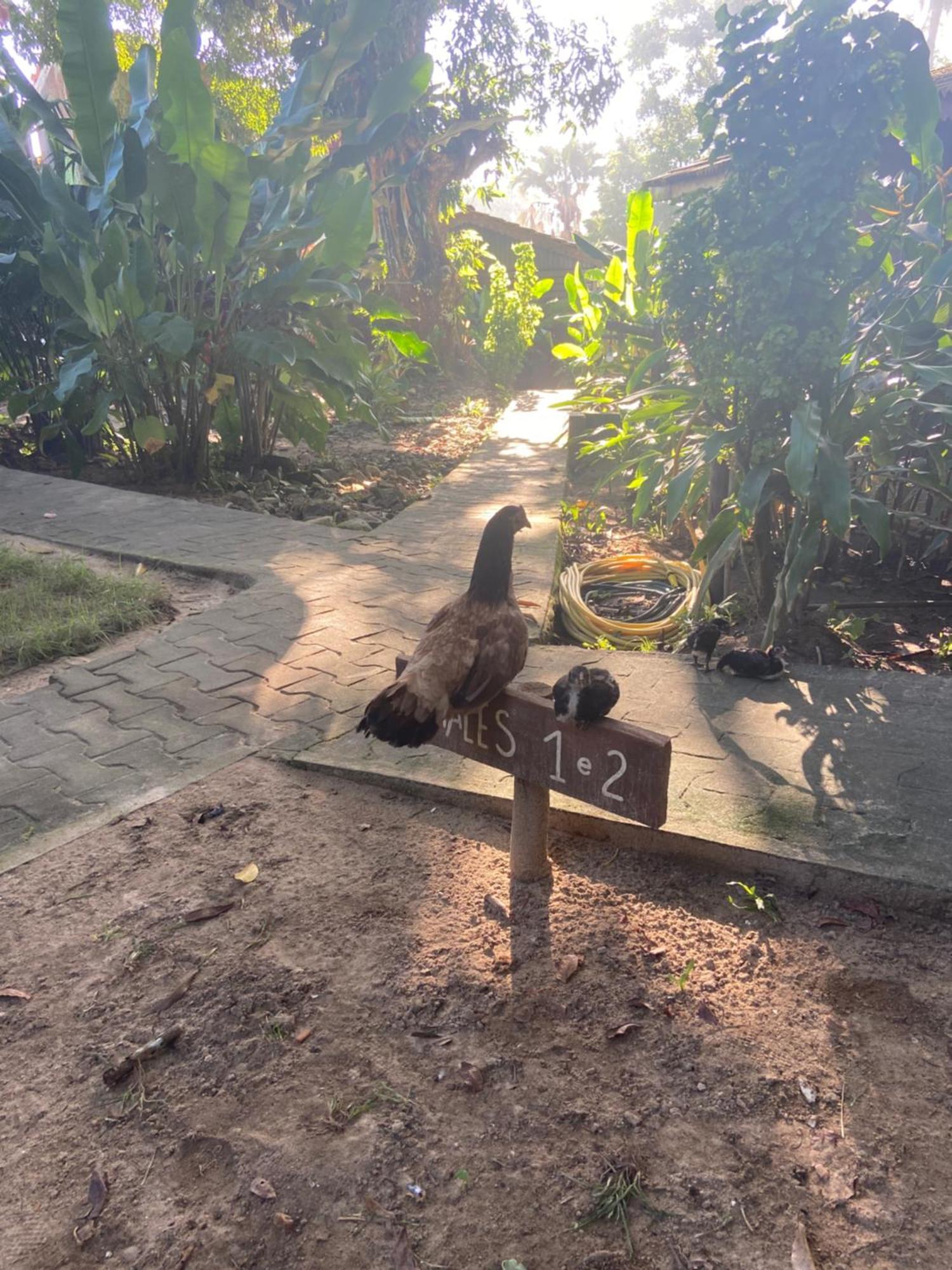 Pousada Coco Dende Velha Boipeba Dış mekan fotoğraf
