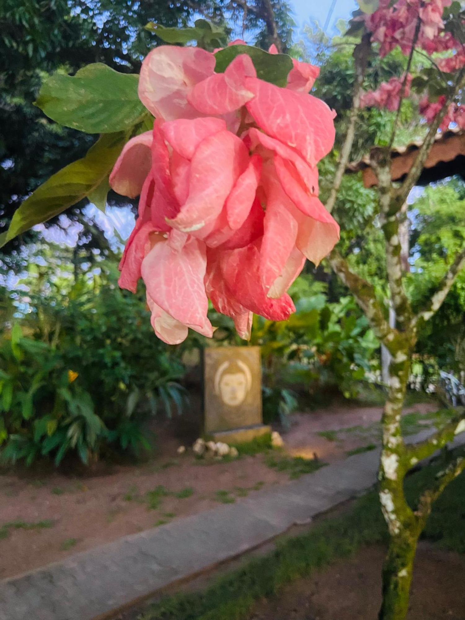Pousada Coco Dende Velha Boipeba Dış mekan fotoğraf