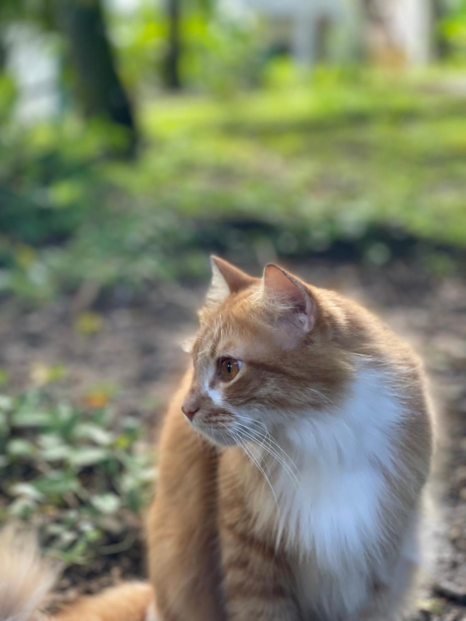 Pousada Coco Dende Velha Boipeba Dış mekan fotoğraf
